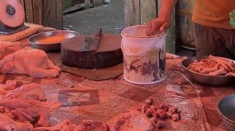 Harga Ayam Potong di Kota Kuala Tungkal Meroket Tembus Rp 48 Ribu per Kilogram Harga Ayam Potong di Kota Kuala Tungkal Meroket Tembus Rp 48 Ribu per Kilogram