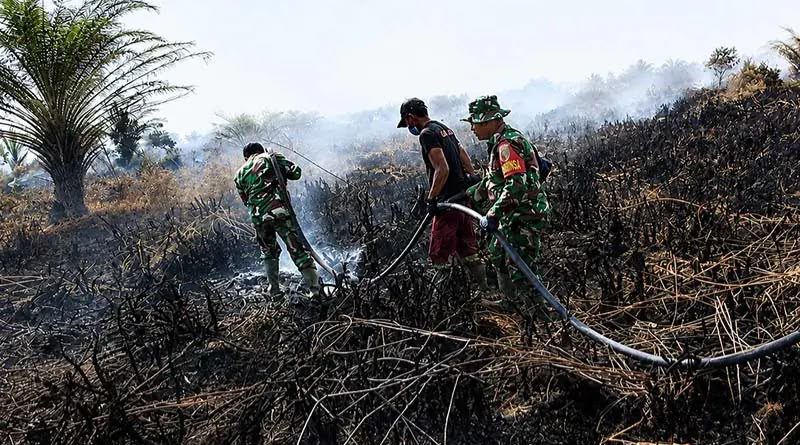 4.631 Hotspot Terdeteksi di Provinsi Jambi, Kabupaten Muaro Jambi Tercatat Miliki KARHUTLA Terluas 4.631 Hotspot Terdeteksi di Provinsi Jambi, Kabupaten Muaro Jambi Tercatat Miliki KARHUTLA Terluas