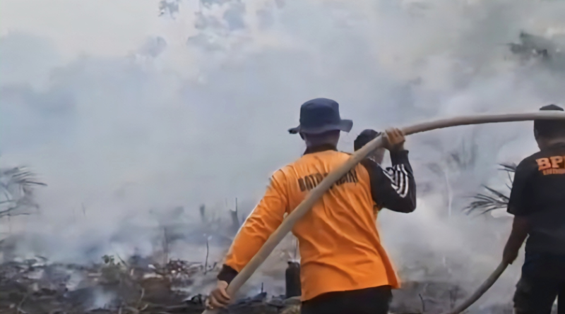 Luas Kebakaran Hutan dan Lahan di Provinsi Jambi Tembus 4.123 Hektare, Kabupaten Batanghari Jadi Wilayah Terparah Luas Kebakaran Hutan dan Lahan di Provinsi Jambi Tembus 4.123 Hektare, Kabupaten Batanghari Jadi Wilayah Terparah